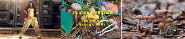 бутират Верхний Тагил