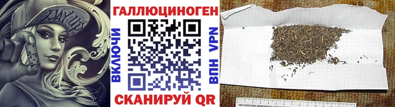 Псилоцибиновые грибы Psilocybine cubensis  Купить где  Богучар 