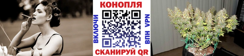 Купить где  Богучар  МАРИХУАНА сатива 